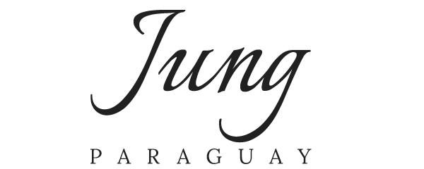 jung paraguay psicologia